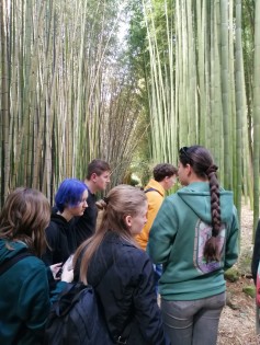 Bambusový háj (La Rocque-Gageac)