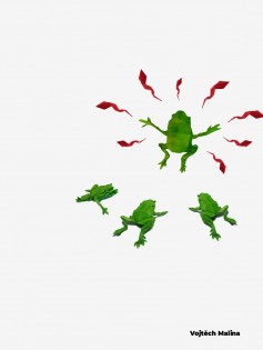 Vojtěch Malina, 13 let, Wichterlovo gymnázium, Ostrava