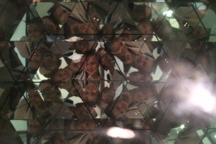 Foto: Veronika Palová